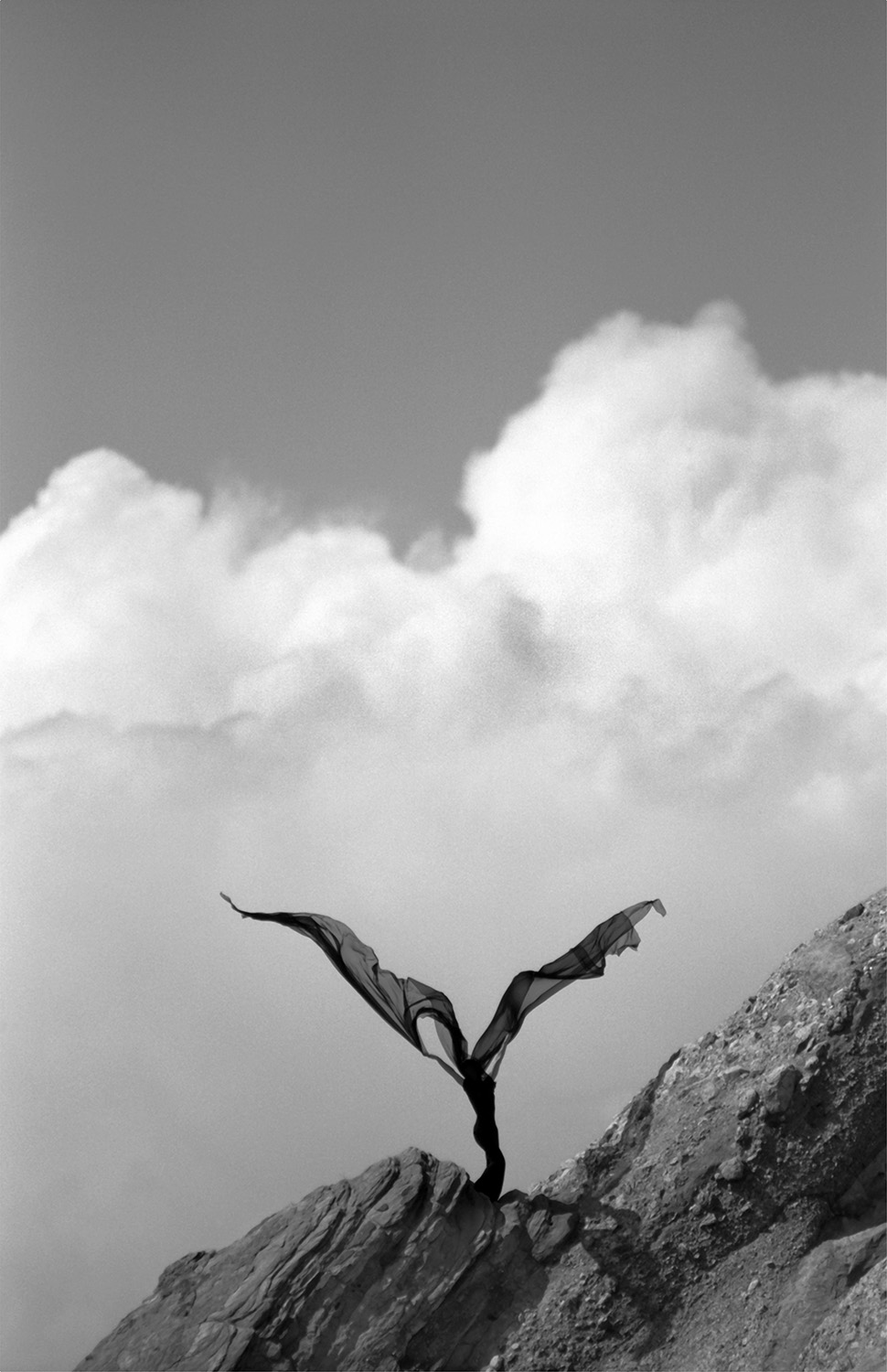 Flight of Faith